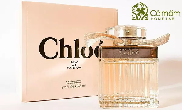 6++ Chai Nước hoa nữ thơm lâu "sang, quyến rũ, hạt rẻ"