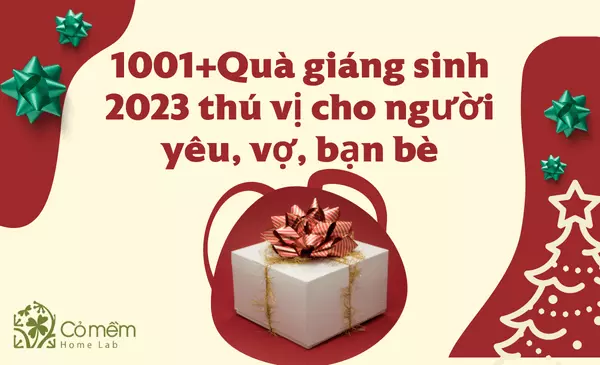 1001+ Quà giáng sinh 2025 "cute, độc đáo, ấn tượng" 10/10đ