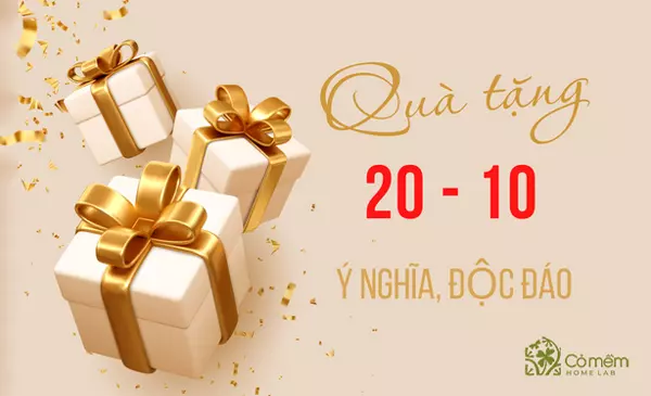 35+ Món Quà Tặng 20/10 Dành Tặng Những "Người Phụ Nữ Đặc Biệt"