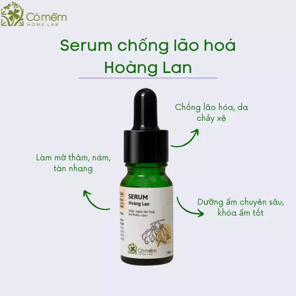 Top 5+ Serum Chống Lão Hóa Siêu Cấp, Lành Tính Cho Hội Chị Em 25+