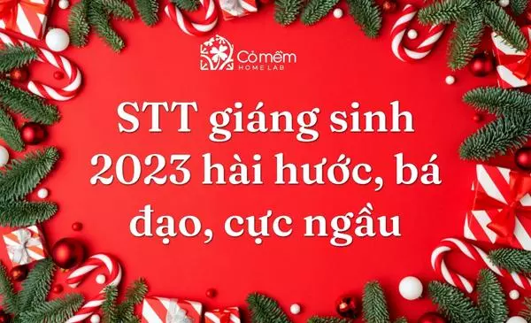 stt giáng sinh