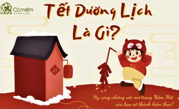 tết dương lịch là gì