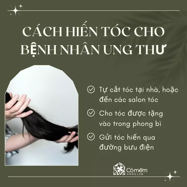 hướng dẫn hiến tóc