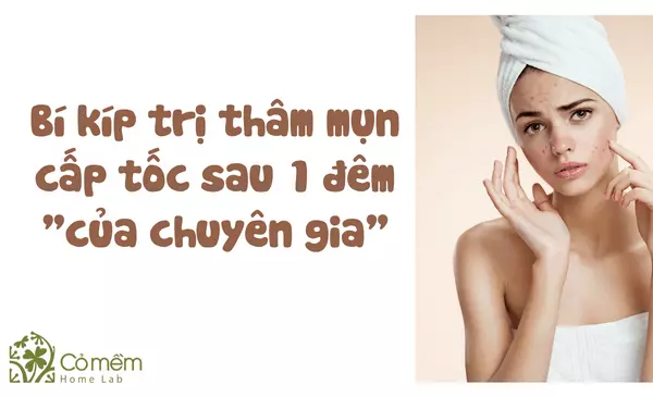 Bí Kíp Trị Thâm Mụn Cấp Tốc Sau 1️⃣ Đêm "Của Chuyên Gia"