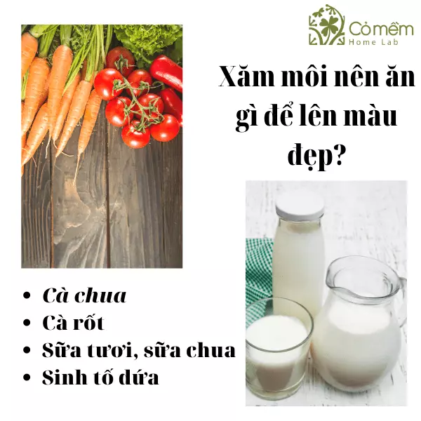 xăm môi ăn gì cho lên màu đẹp