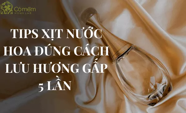 11 Tips xịt nước hoa đúng cách lưu hương x5 lần "nam, nữ"