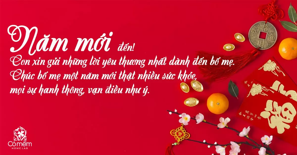 chúc tết bố mẹ