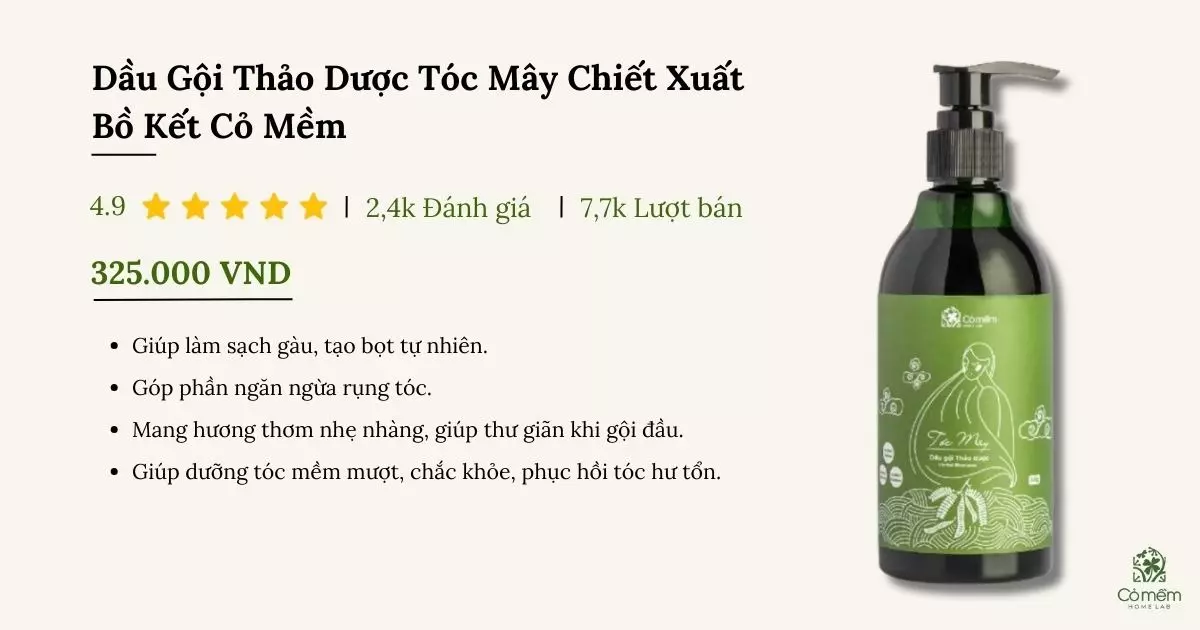 dầu gội trị gàu và rụng tóc