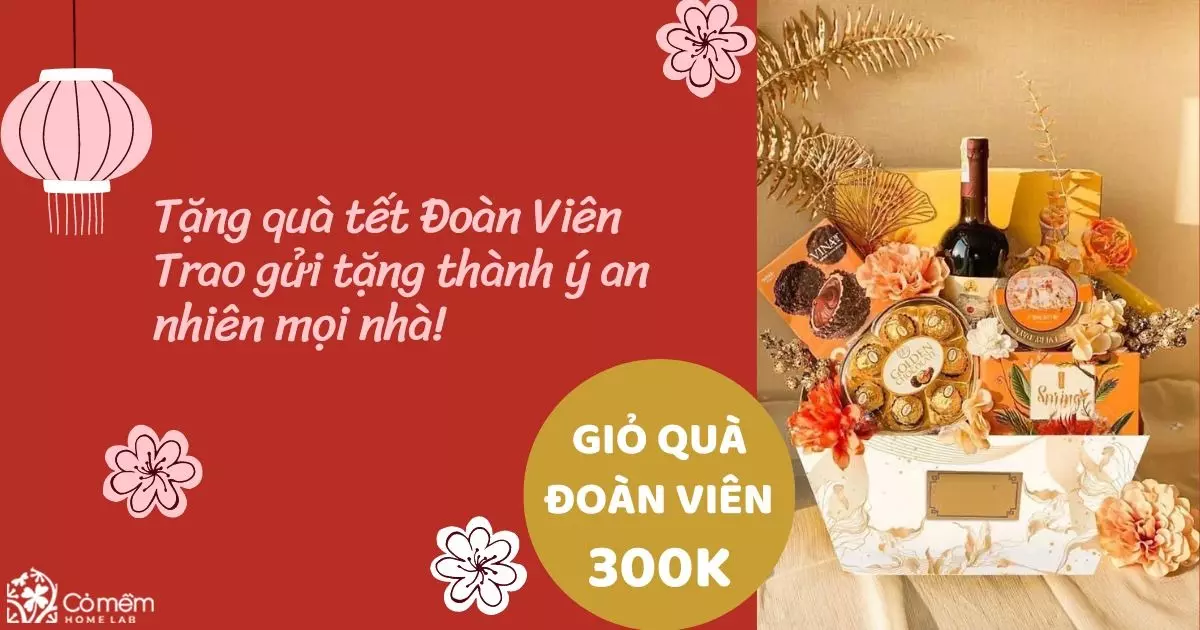 giỏ quà tết 300k