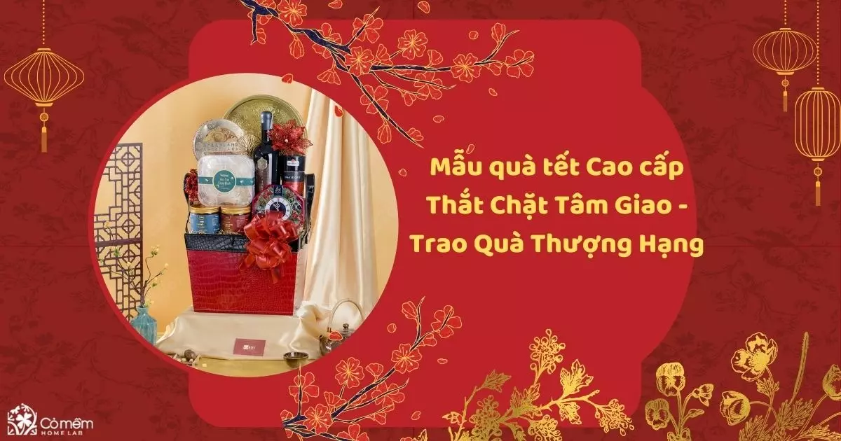 mẫu quà tết 2024