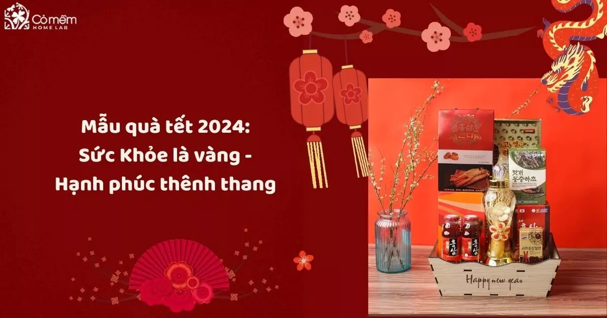 mẫu quà tết 2024