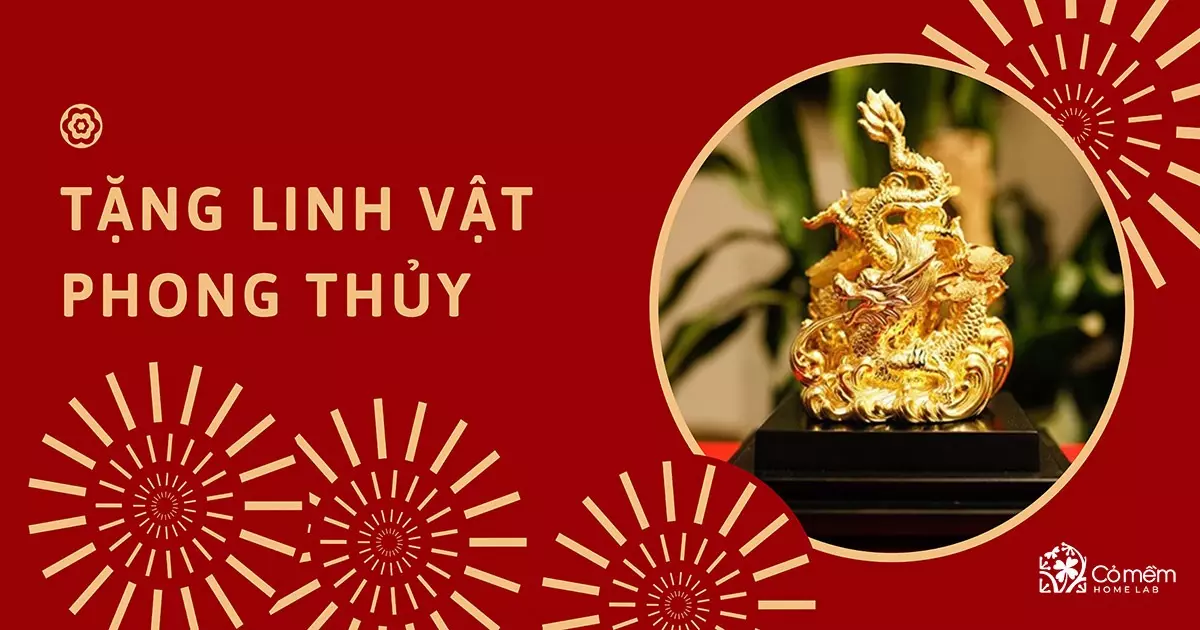 quà tết cho bố mẹ