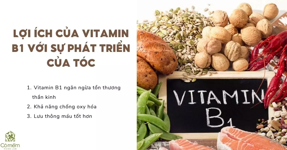 vitamin b1 giúp tóc mọc