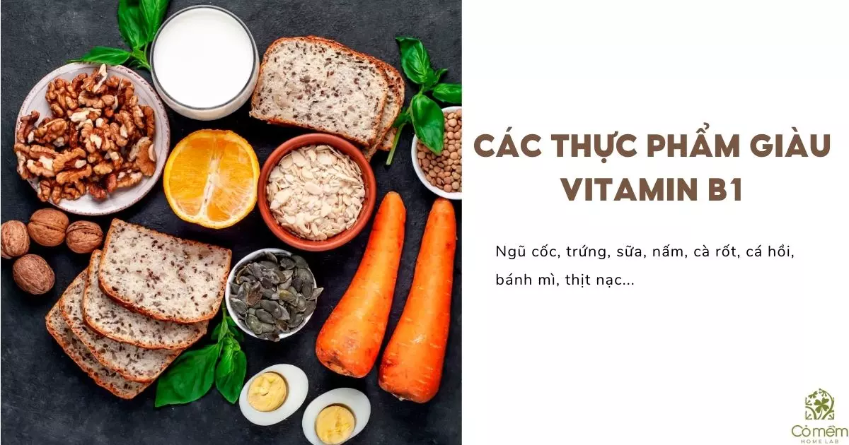 vitamin b1 giúp tóc mọc