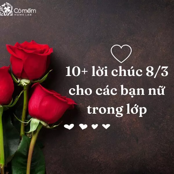 lời chúc 8/3 cho các bạn nữ trong lớp