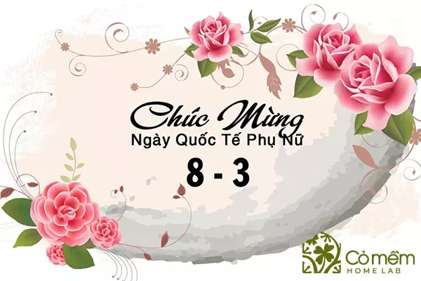 lời chúc ý nghĩa 8 3 cho vợ