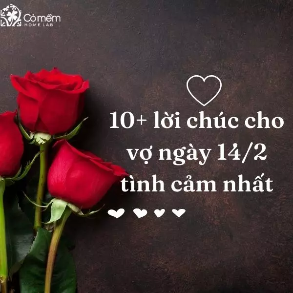 quà tặng 14/2 cho vợ