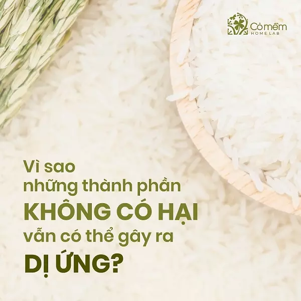 những thành phần không có hại vẫn có thể gây ra dị ứng