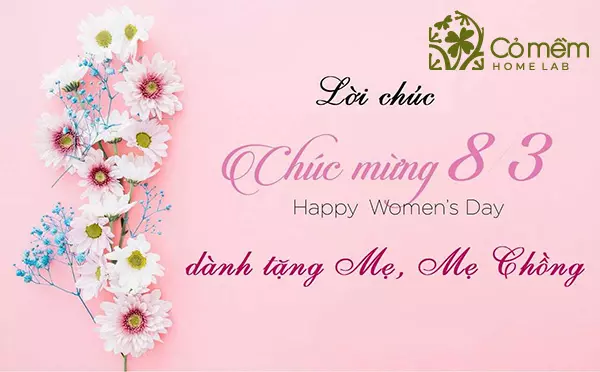 những lời chúc 8 3 cho mẹ