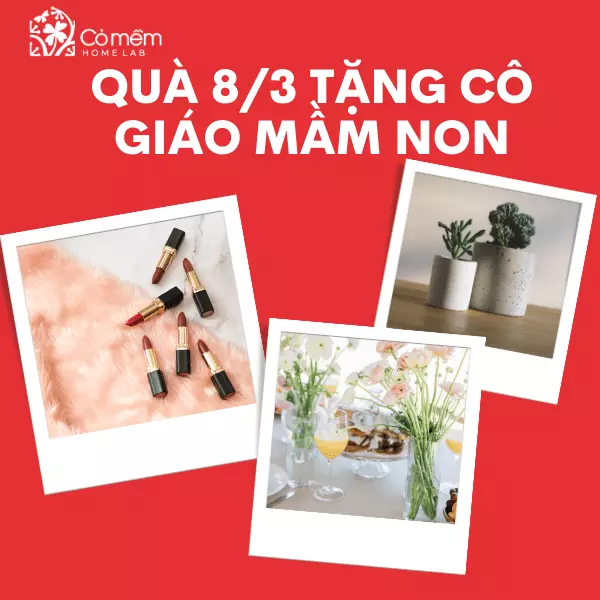 tặng quà 8/3 cho cô giáo mầm non