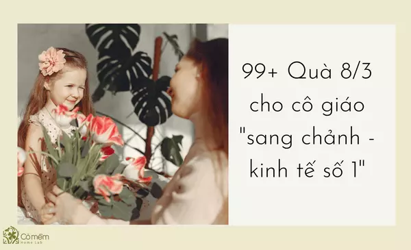 Tặng gì 8/3 cho cô giáo? Gợi ý quà tặng tinh tế, dễ chọn