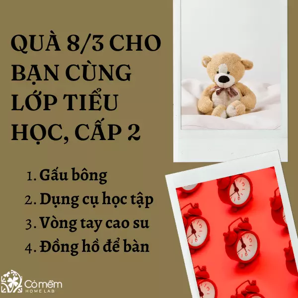 quà 8/3 cho các bạn nữ trong lớp