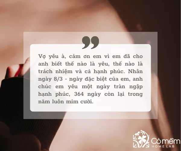 Lời chúc vợ lãng mạn ngày 8/3