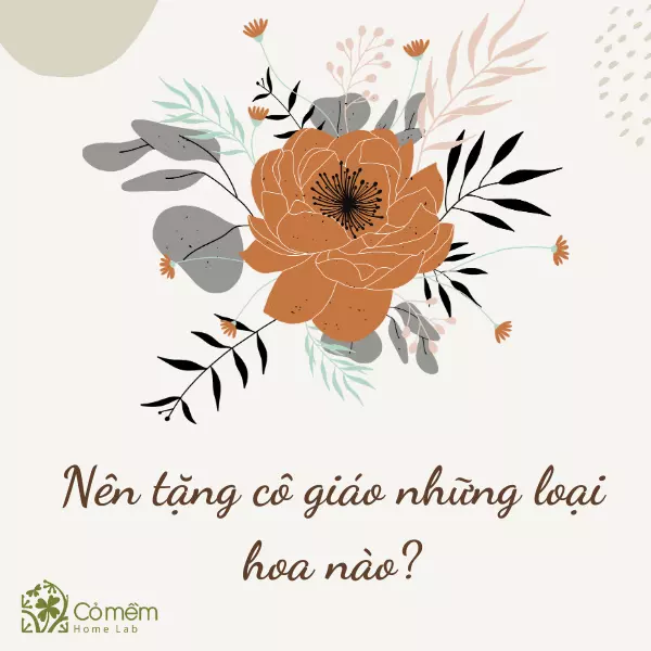 quà tặng ngày 8/3 cho cô giáo