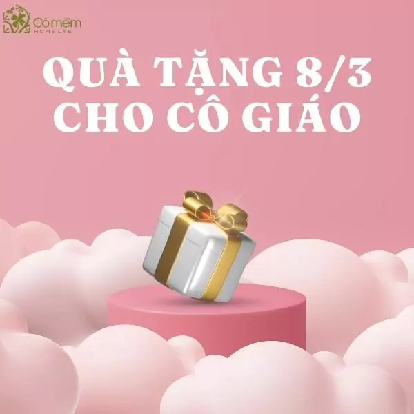 quà tặng 8 3 cho cô giáo