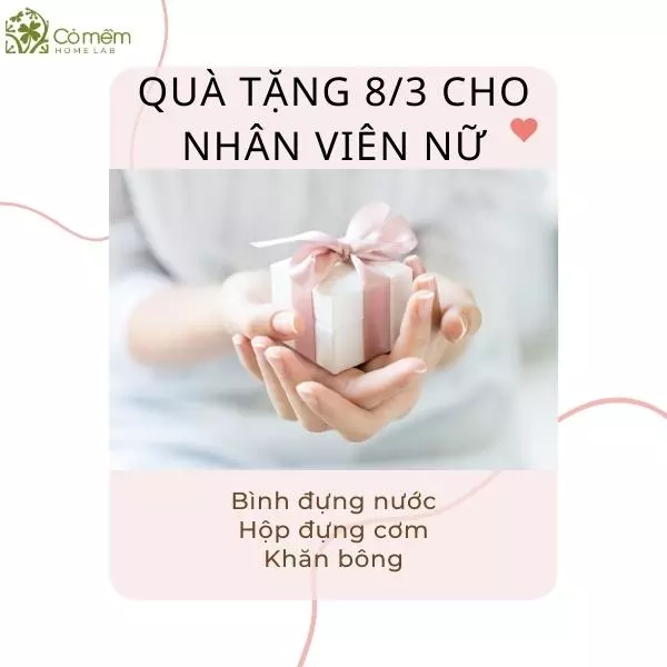 quà tặng 8/3 cho nhân viên nữ