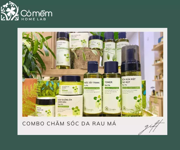 Bộ chăm sóc da Rau Má cho làn da khỏe mạnh, mịn màng