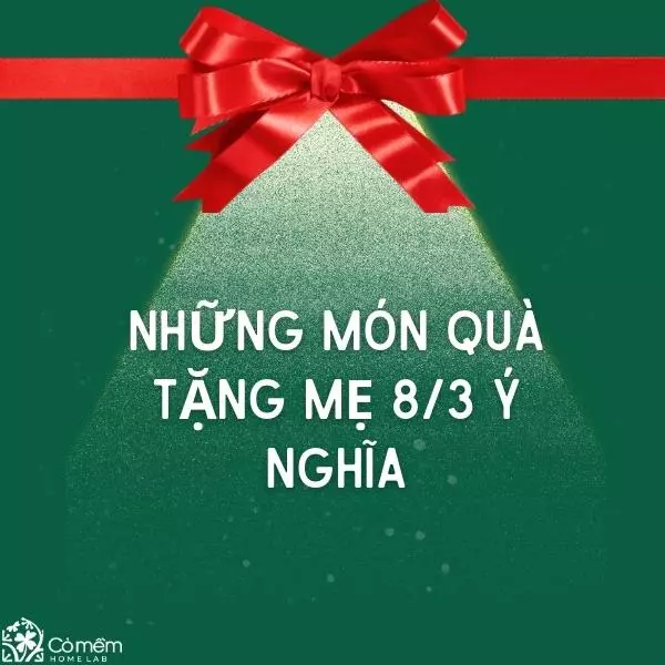 quà tặng mẹ 8-3