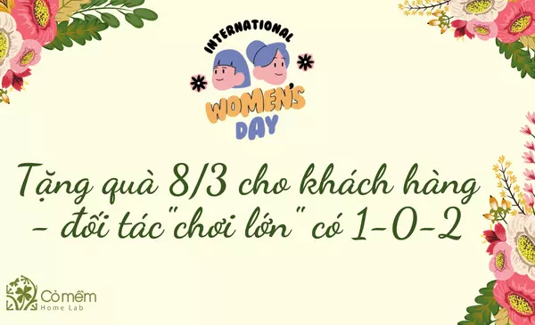 Tặng Quà 8/3 Cho Khách Hàng An Lành, Ý Nghĩa Thiết Thực 2025