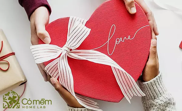 valentine 14/2 ai là người tặng quà