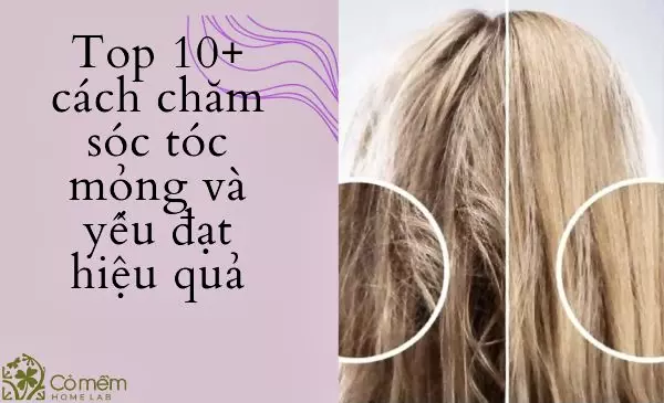 11 Cách Chăm Sóc Tóc Mỏng Và Yếu Hiệu Quả Sau 4 Tuần