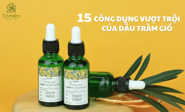 15 công dụng vượt trội của dầu tràm