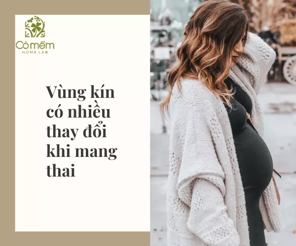 Vùng kín thường có nhiều thay đổi khi mang thai