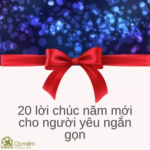 lời chúc năm mới cho người yêu ngắn gọn