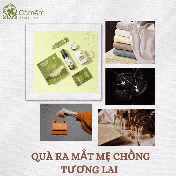 quà ra mắt mẹ chồng tương lai