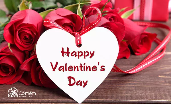 1009+ Quà tặng Valentine "Độc lạ - ấn tượng - ý nghĩa"