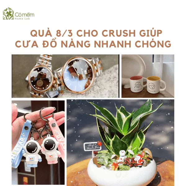 tặng quà 8/3 cho crush