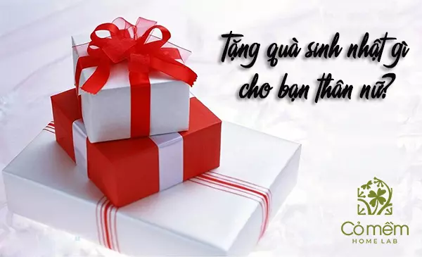 Tặng quà sinh nhật cho bạn thân nữ? 101+ Gợi ý "hết sẩy"