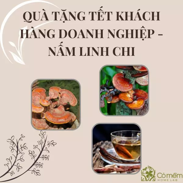 quà tặng khách hàng dịp tết