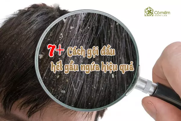 cách gội đầu hết gầu