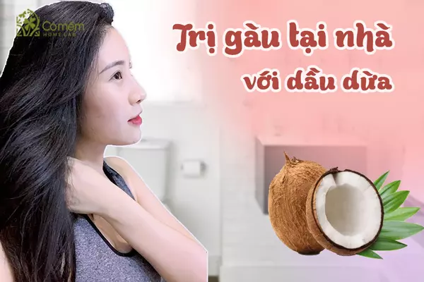 cách gội đầu trị gàu