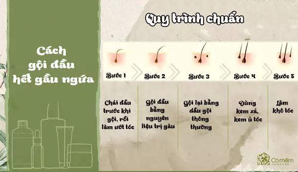 cách gội đầu giảm gàu