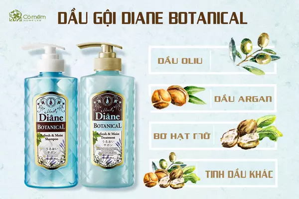 dầu gội nhanh dài tóc