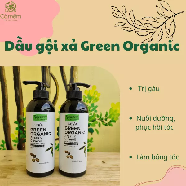 dầu gội trị gàu dành cho bà bầu