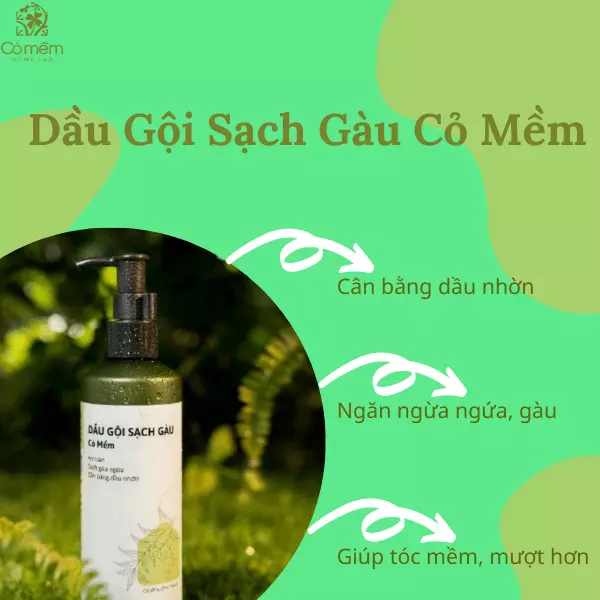 dầu gội trị gàu cho phụ nữ mang thai