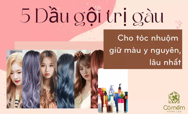 dầu gội trị gàu cho tóc nhuộm